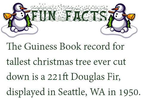 fun fact